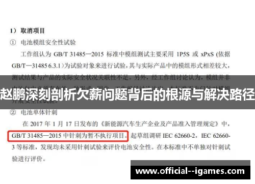 赵鹏深刻剖析欠薪问题背后的根源与解决路径