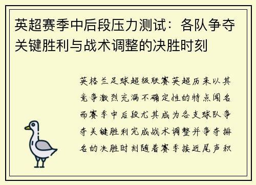 英超赛季中后段压力测试：各队争夺关键胜利与战术调整的决胜时刻